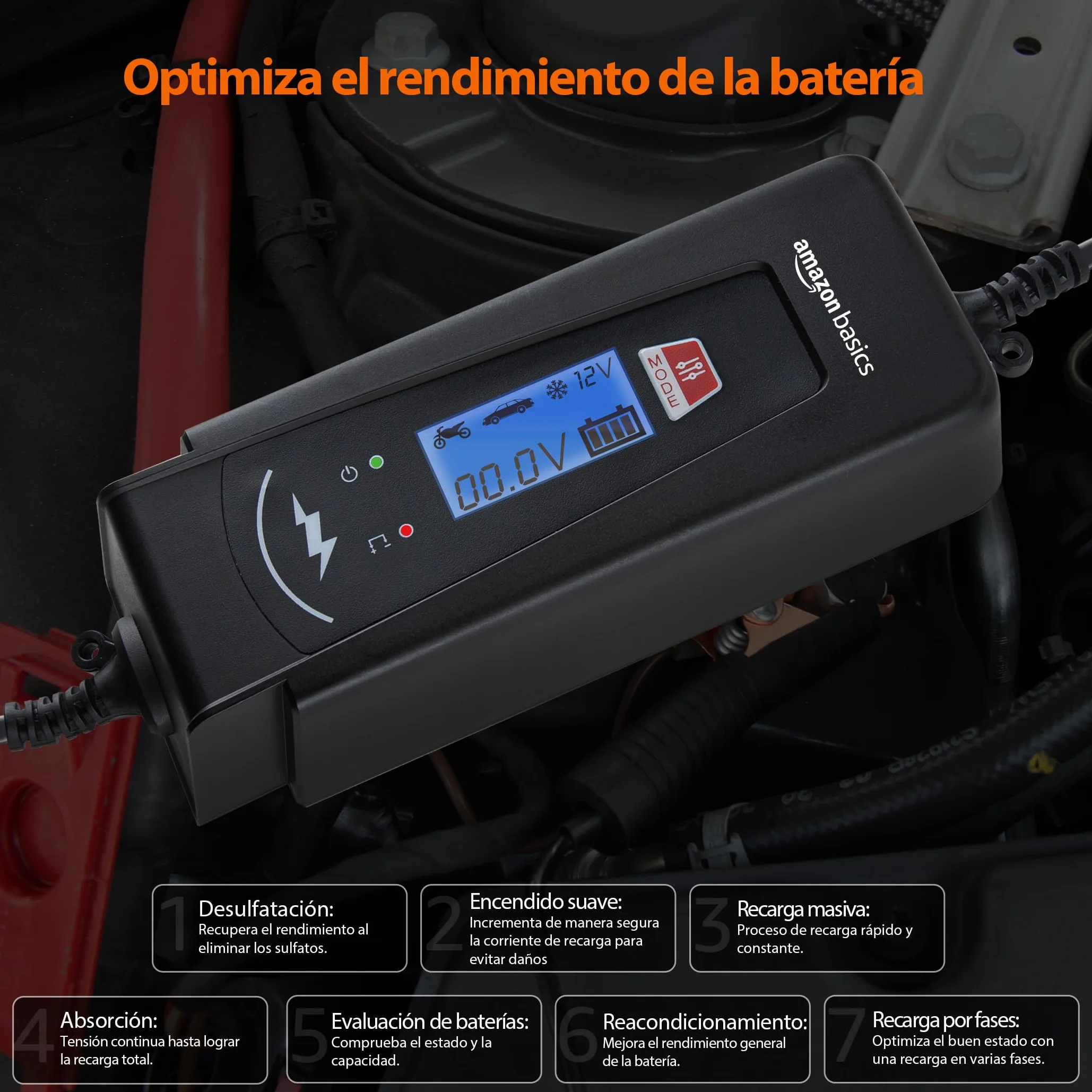 Amazon Basics Cargador de batería inteligente automático con función de probador de batería, enchufe UE, salida : 2A/4A, 6V/12V CC, Negro