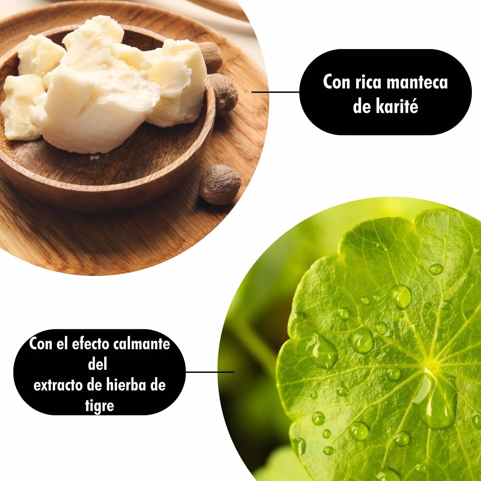 Believa Crema Cuidado Tatuaje Vegano 50ml