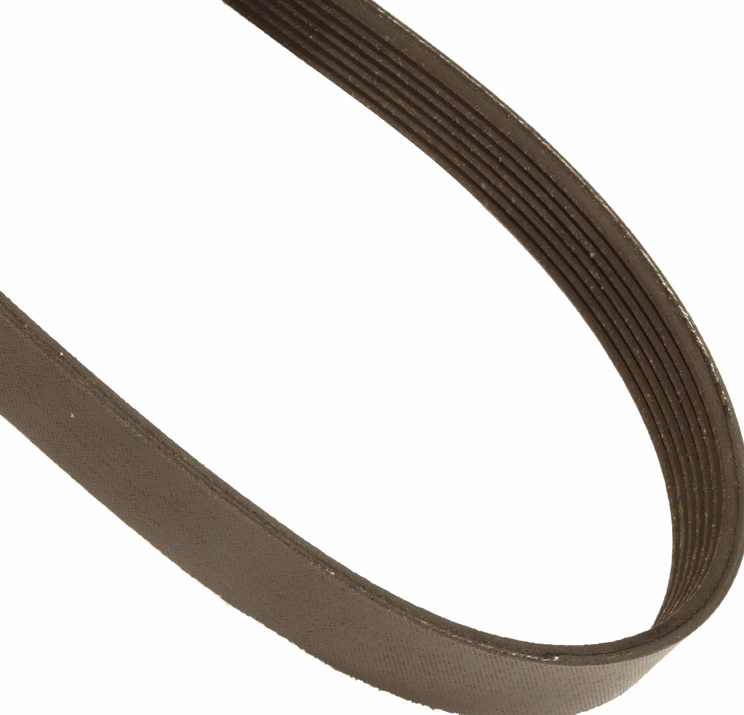 Continental ContiTech Poly-V correa en V, 725L7, acanalada, 7 costillas; 0,5 cm de ancho, 1 cm de altura, 184 cm de longitud exterior nominal