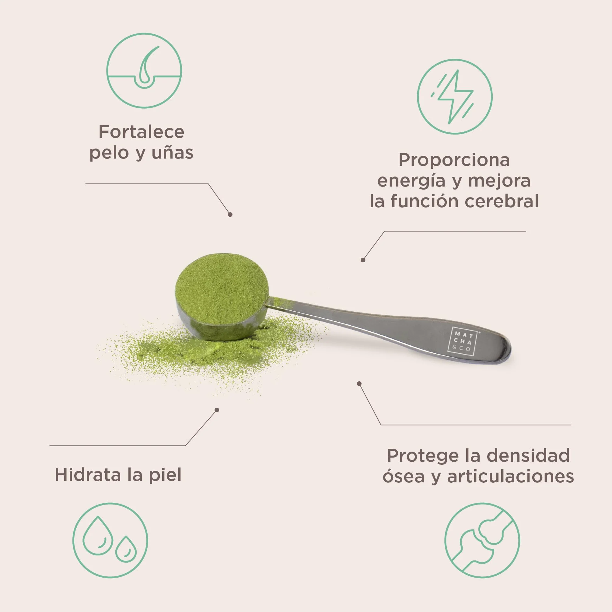 Matcha Collagen Colágeno Marino con Magnesio, Té Matcha y Ácido Hialurónico 290 g