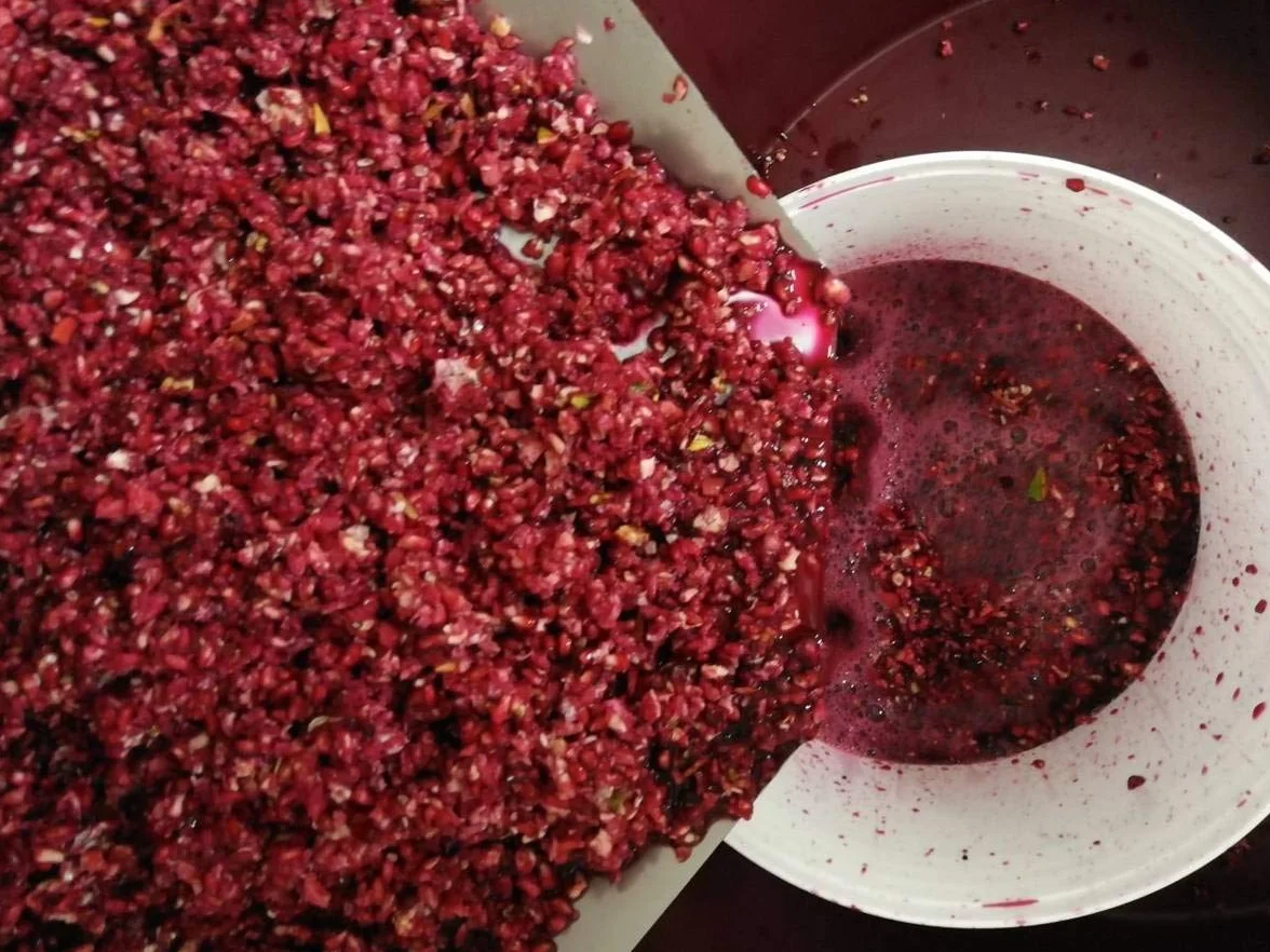 Vinagre de granada agridulce natural con acetificación espontánea lenta