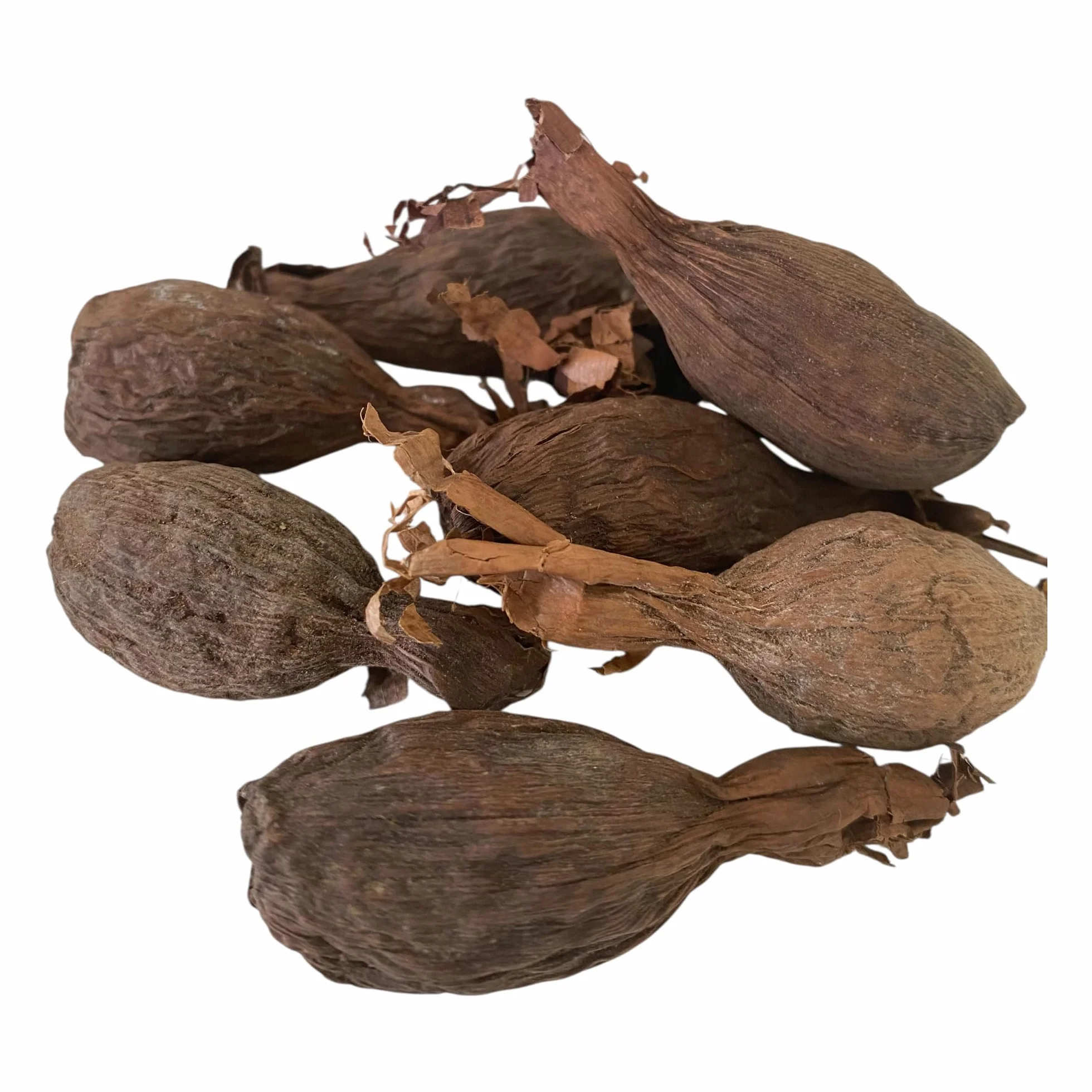 RMY Manigueta entera vaina de guinea de chile pimiento de cocodrilo 6 PCS