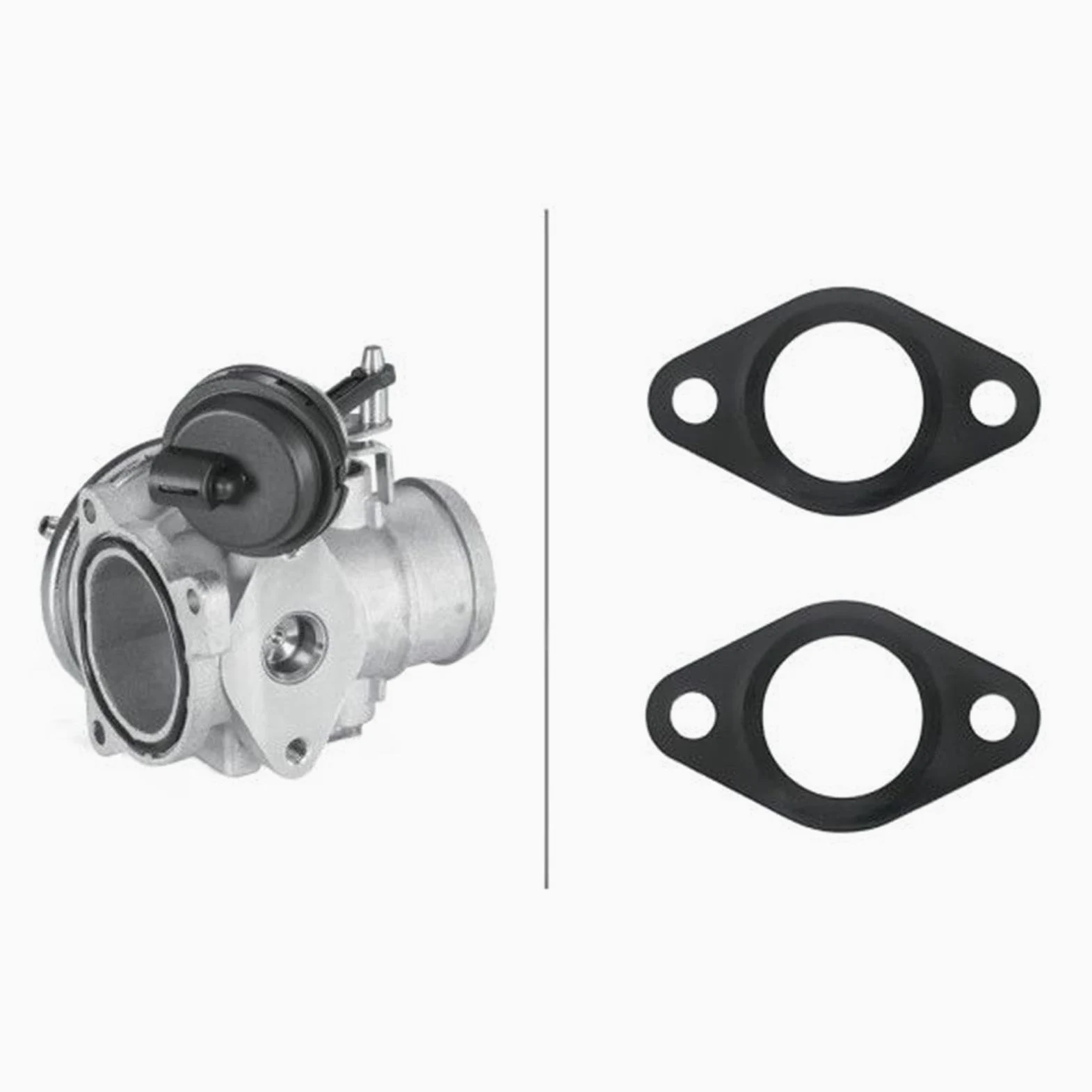 HELLA 6NU 010 171-311 Válvula EGR - controlado por vacío - con juntas