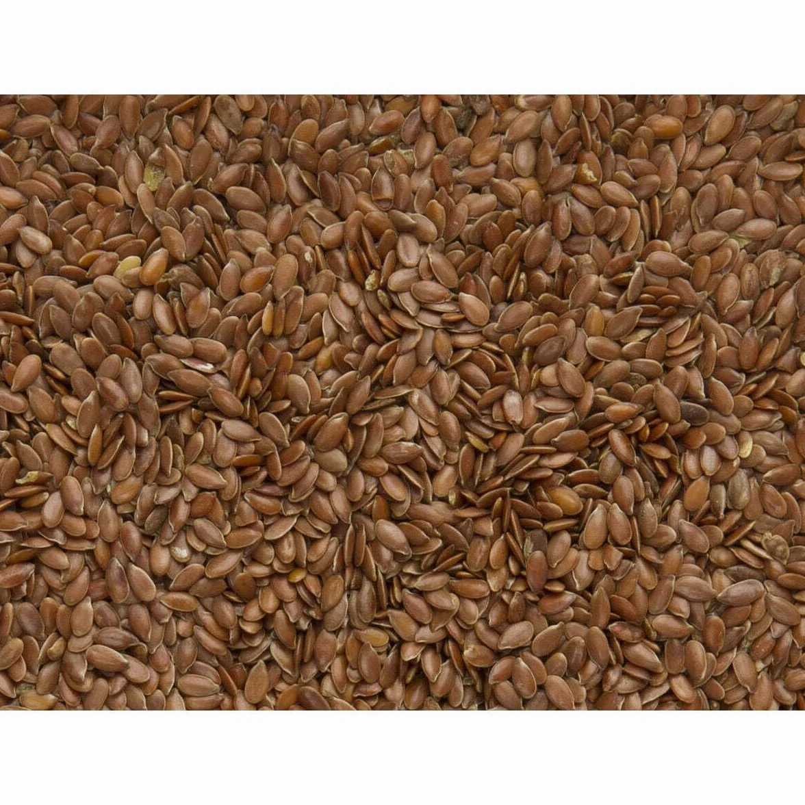 DELINATURE Semillas de Lino para Pájaros
