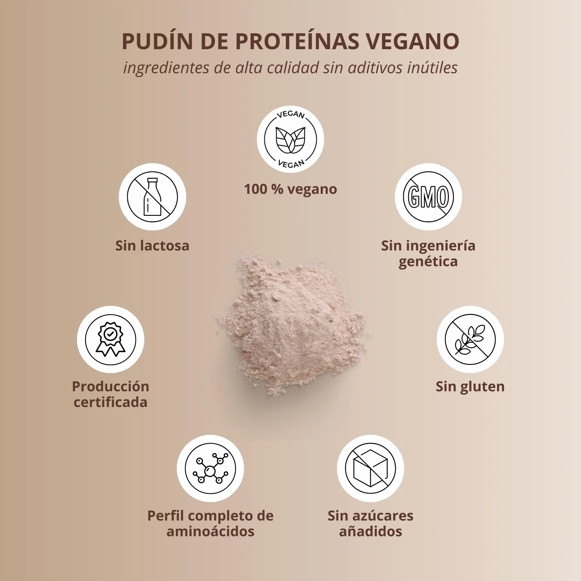 Pudin proteico Chocolate vegano 400 g 24 g Proteínas por Ración alto en Proteínas sin Lactosa y Gluten