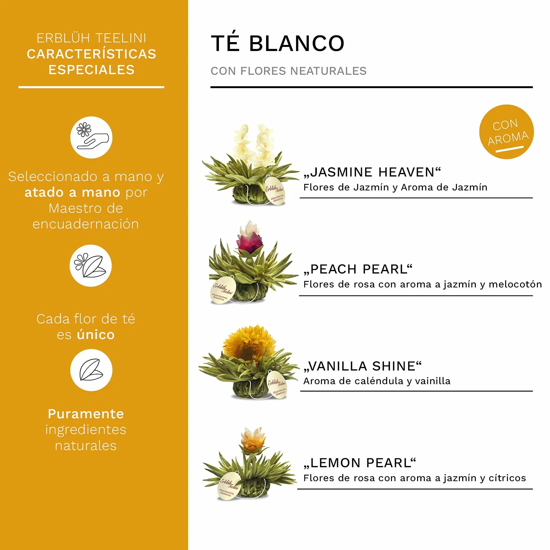 Creano Teelini Flores de Té Blanco 12 uds Cofre de Madera con Compartimentos Regalo