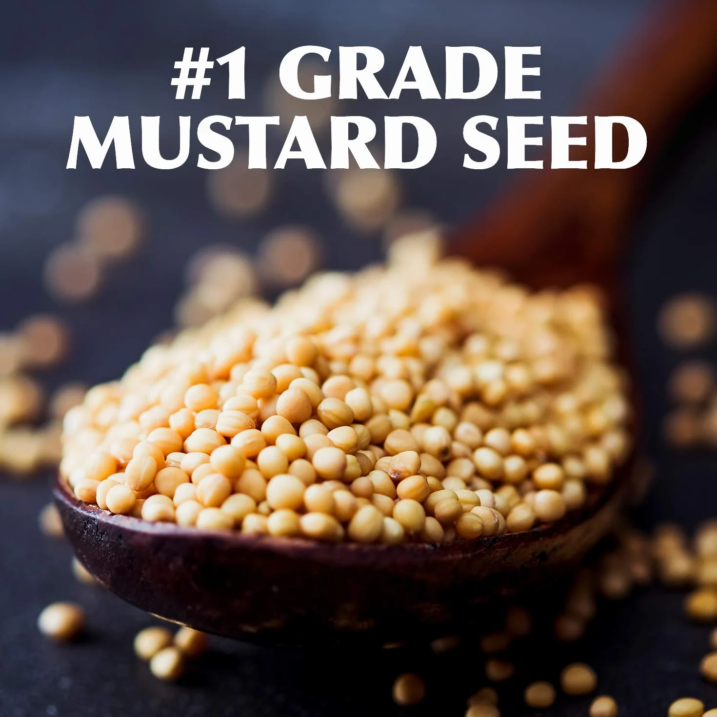 Spicy Brown Mustard 12 oz