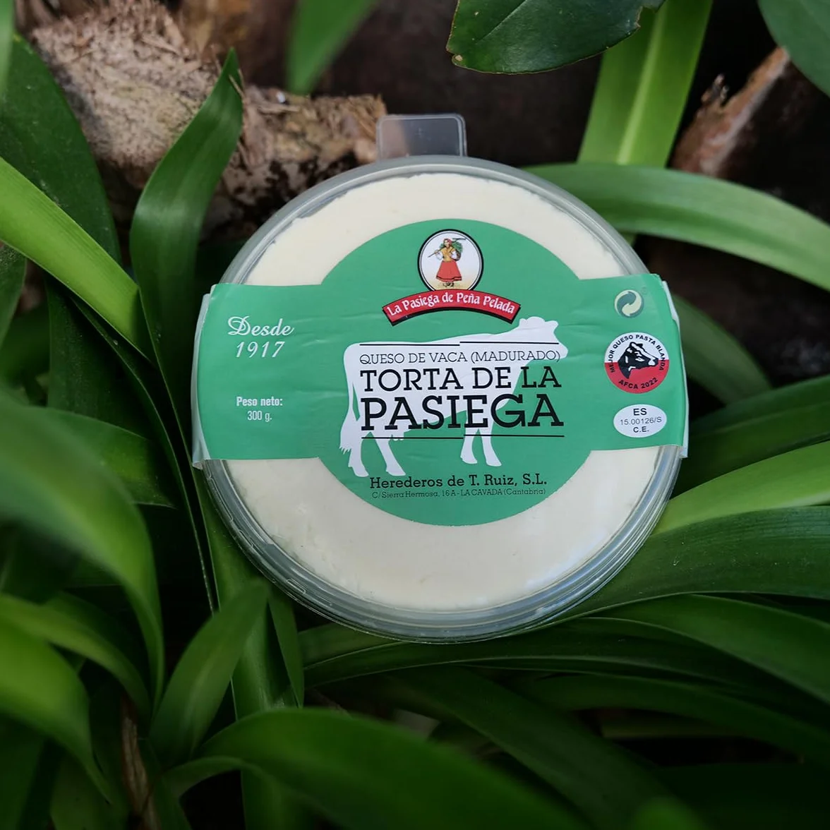 Torta de Queso LA PASIEGA DE PEÑA PELADA 300 g Cremosa Queso redondo