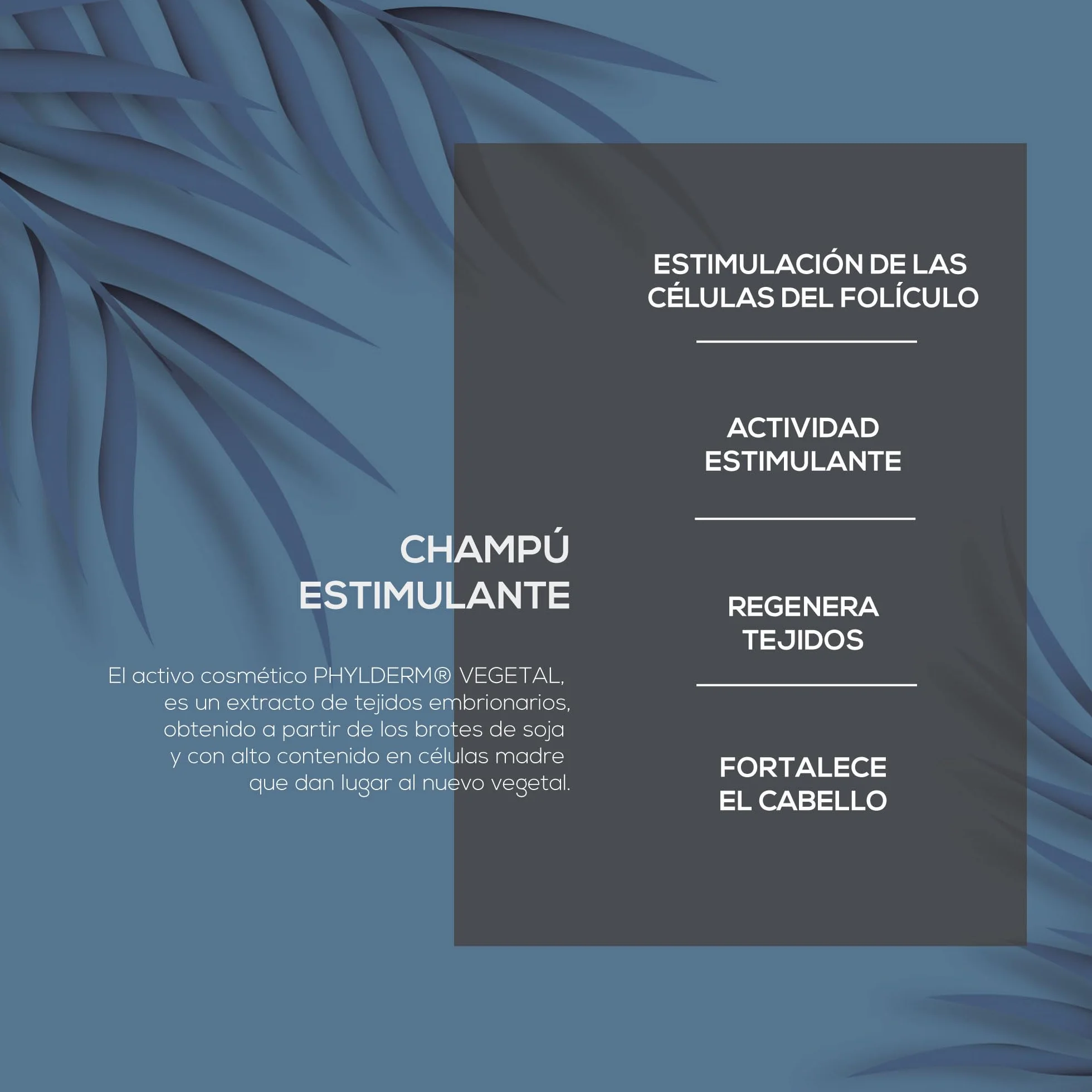 CHAMPÚ REGENERADOR CAPILAR ANTICAÍDA - Pérdida de Cabello para Hombre y Mujer