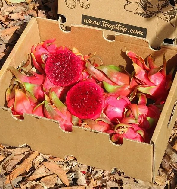 Pitahaya Púrpura 2kg Fruta Fresca Producción Local Castellón España Pitaya Rosa Fruta del Dragón