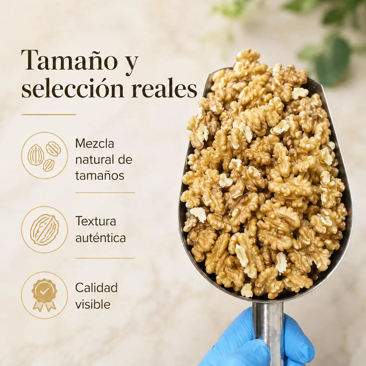 Samskara Nuez Pelada AL VACIO Gran Calibre a Mano Premium 600 g | Nueces Naturales Extra Light, Fruto Seco en Cuartos, Snack Gourmet 100% Natural sin sal