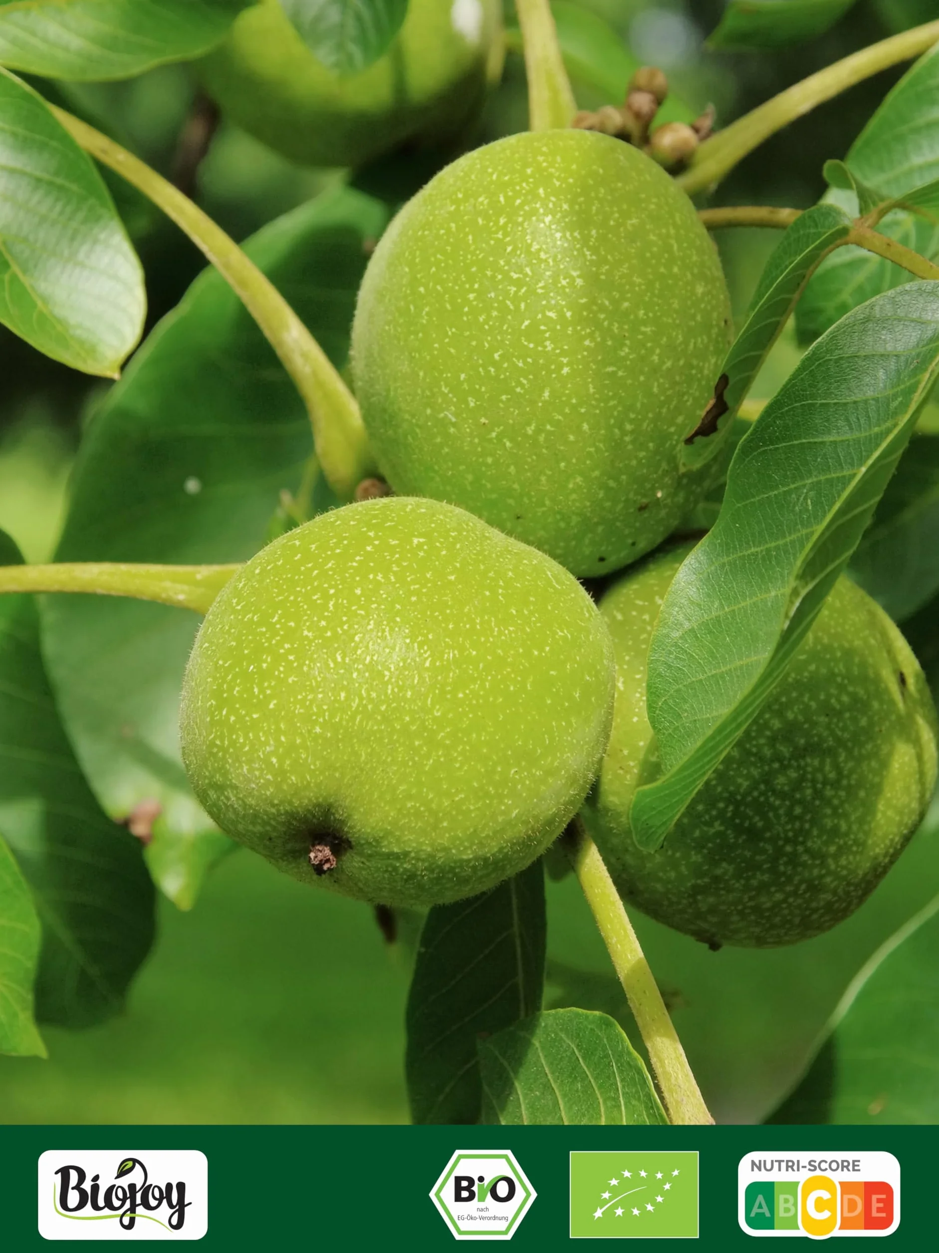 Biojoy Nueces Peladas Orgánicas 1 kg, crudas y trituradas, sin sal