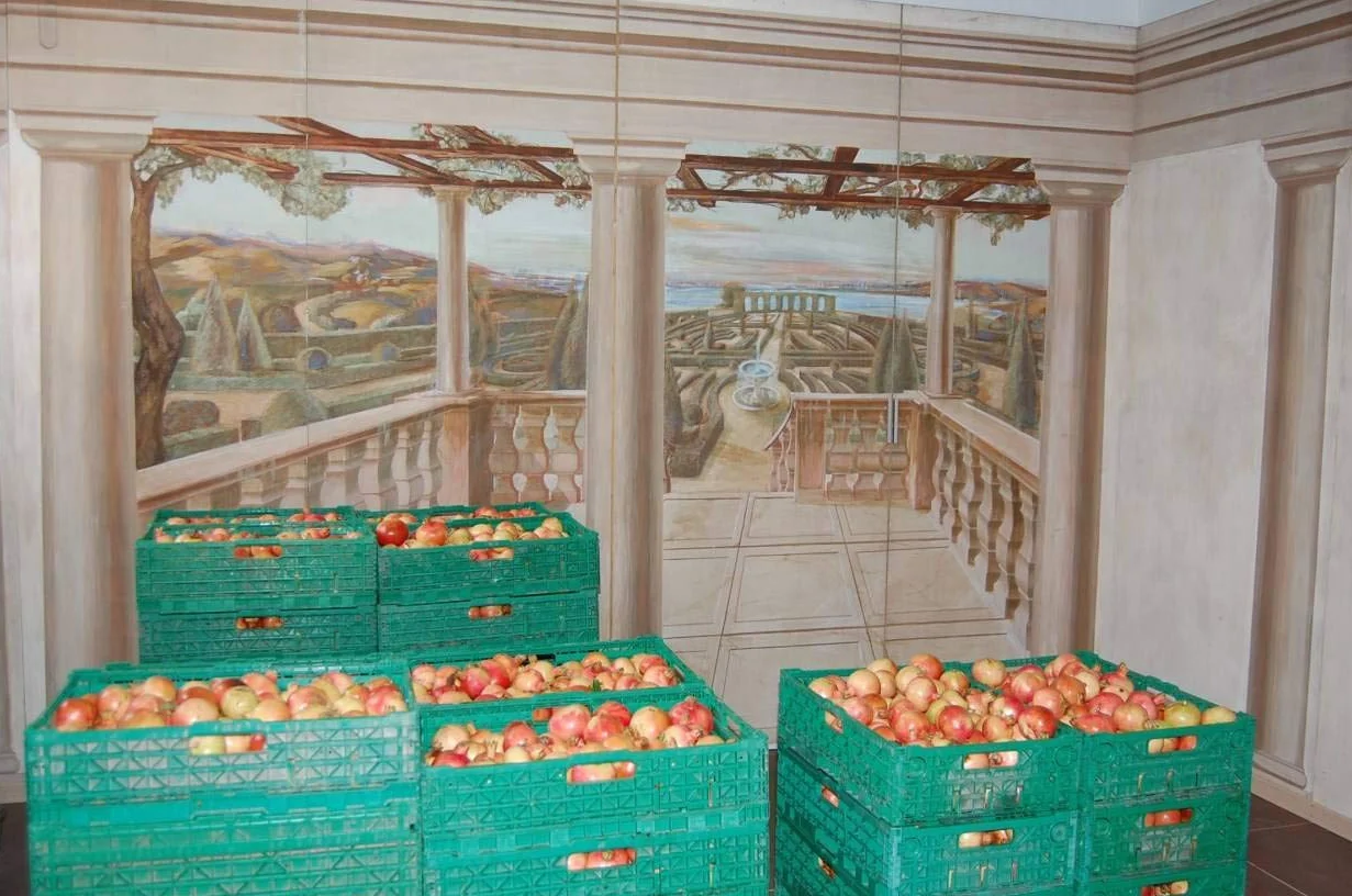 Vinagre de granada agridulce natural con acetificación espontánea lenta