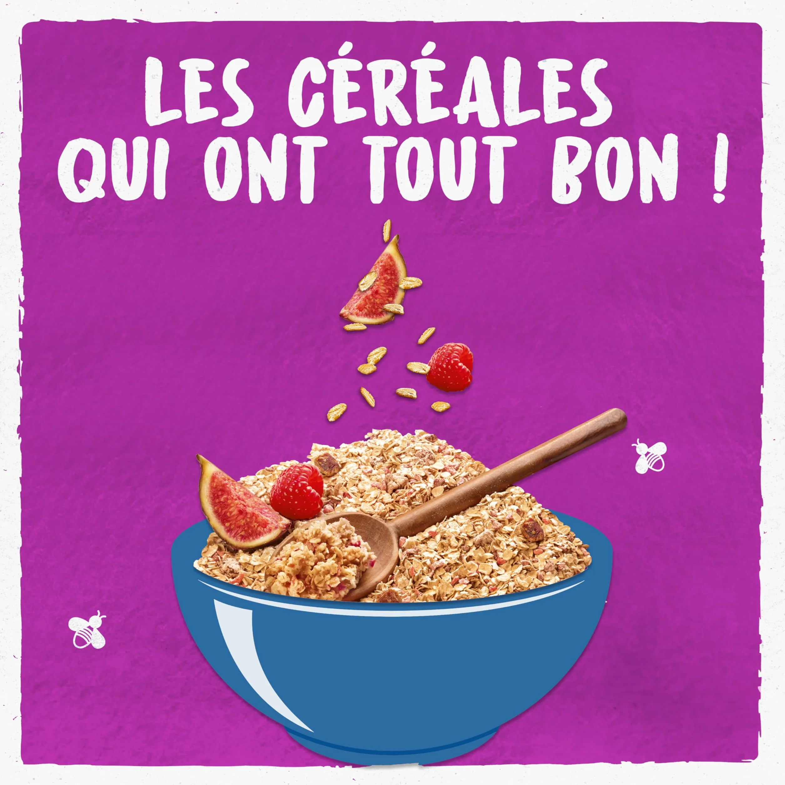 Bjorg Porridge Figue Framboise Bio 375g