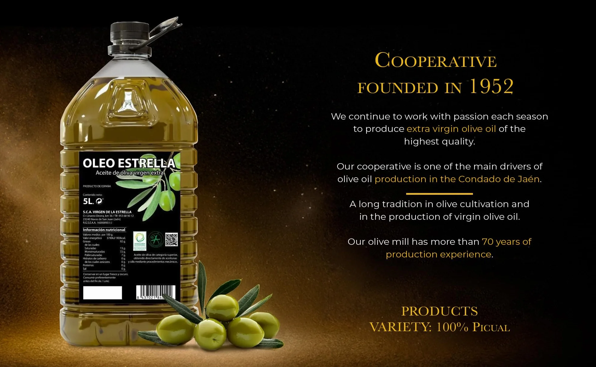 Aceite de Oliva Virgen Extra Picual 5 Litros Oleo Estrella