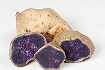 Petsdelite® Piel Blanca Ñame Morado Patata Morada Japonesa o Camote Japonés 1 gramo