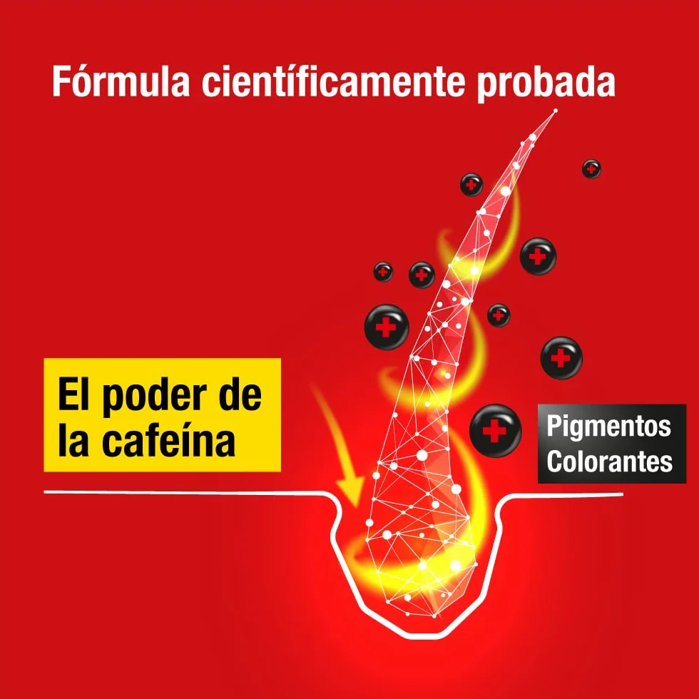 Alpecin Tuning Shampoo 2x200 ml Champu preserva el color cabellos oscuros favorece crecimiento natural cabello