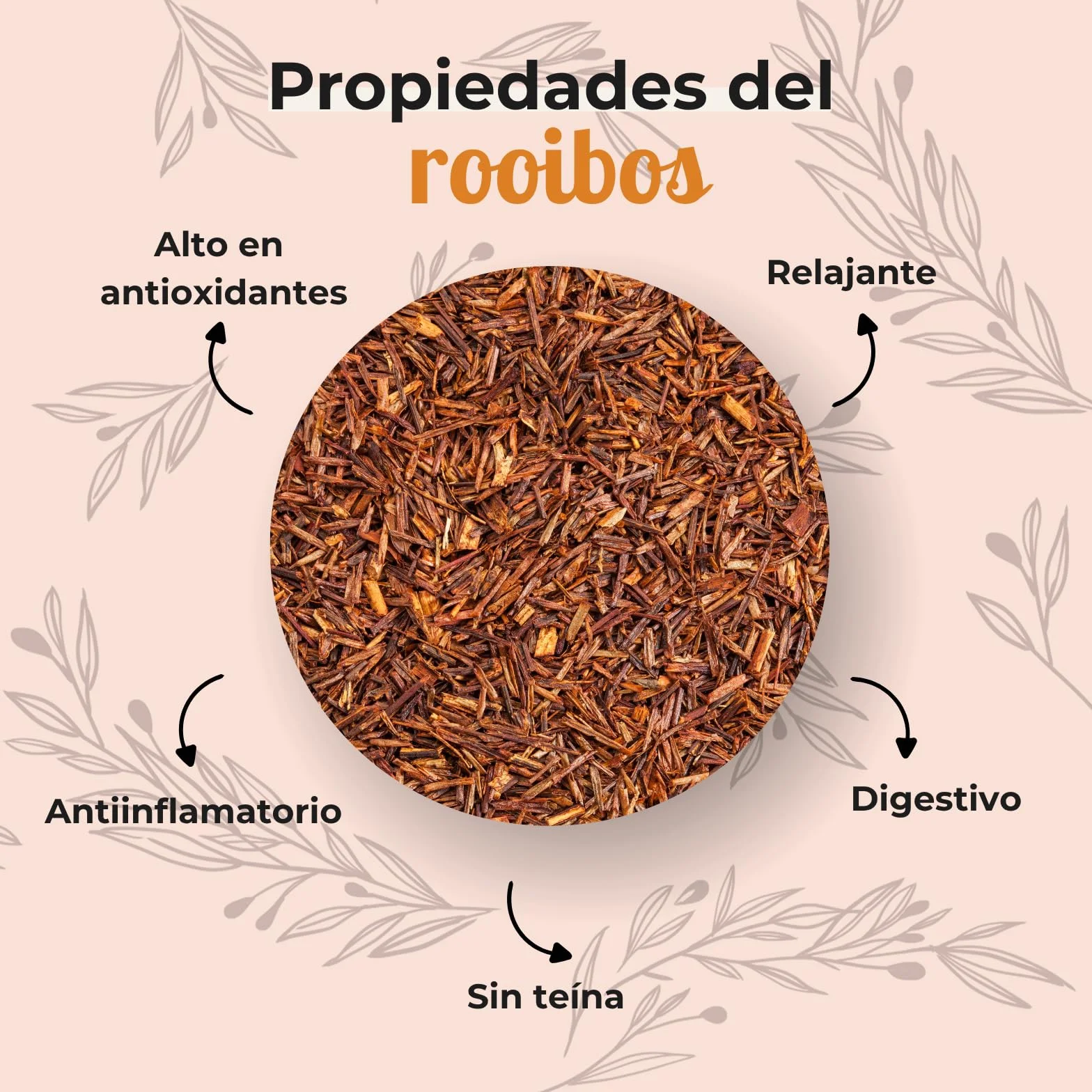 FUSIONATE Rooibos Cacao y Coco 150g Alternativa Chocolate Caliente Infusión Sin Cafeína