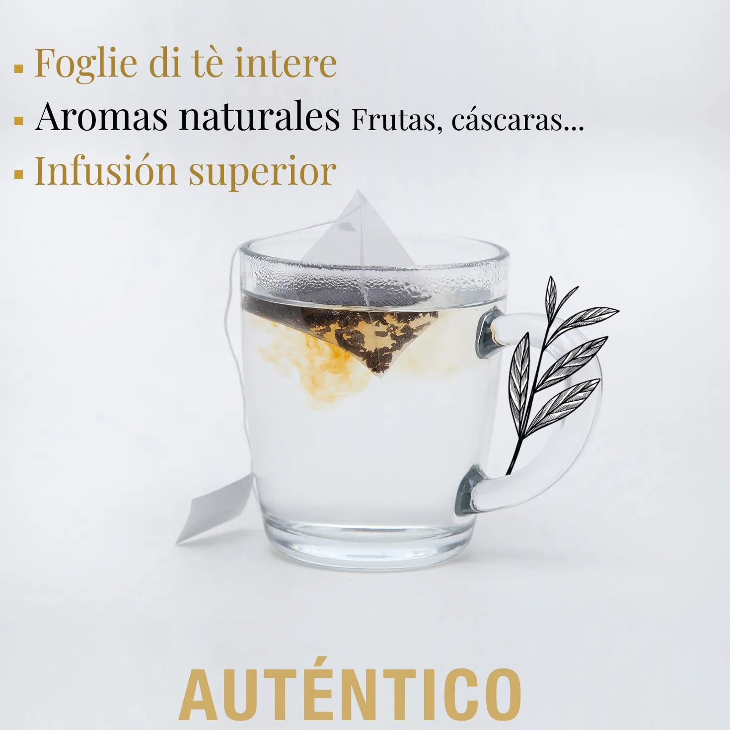 ORIGEENS TE ORGANICO Caja té Orgánico Surtido premium 6 sabores Caja Regalo 48 bolsitas piramidales