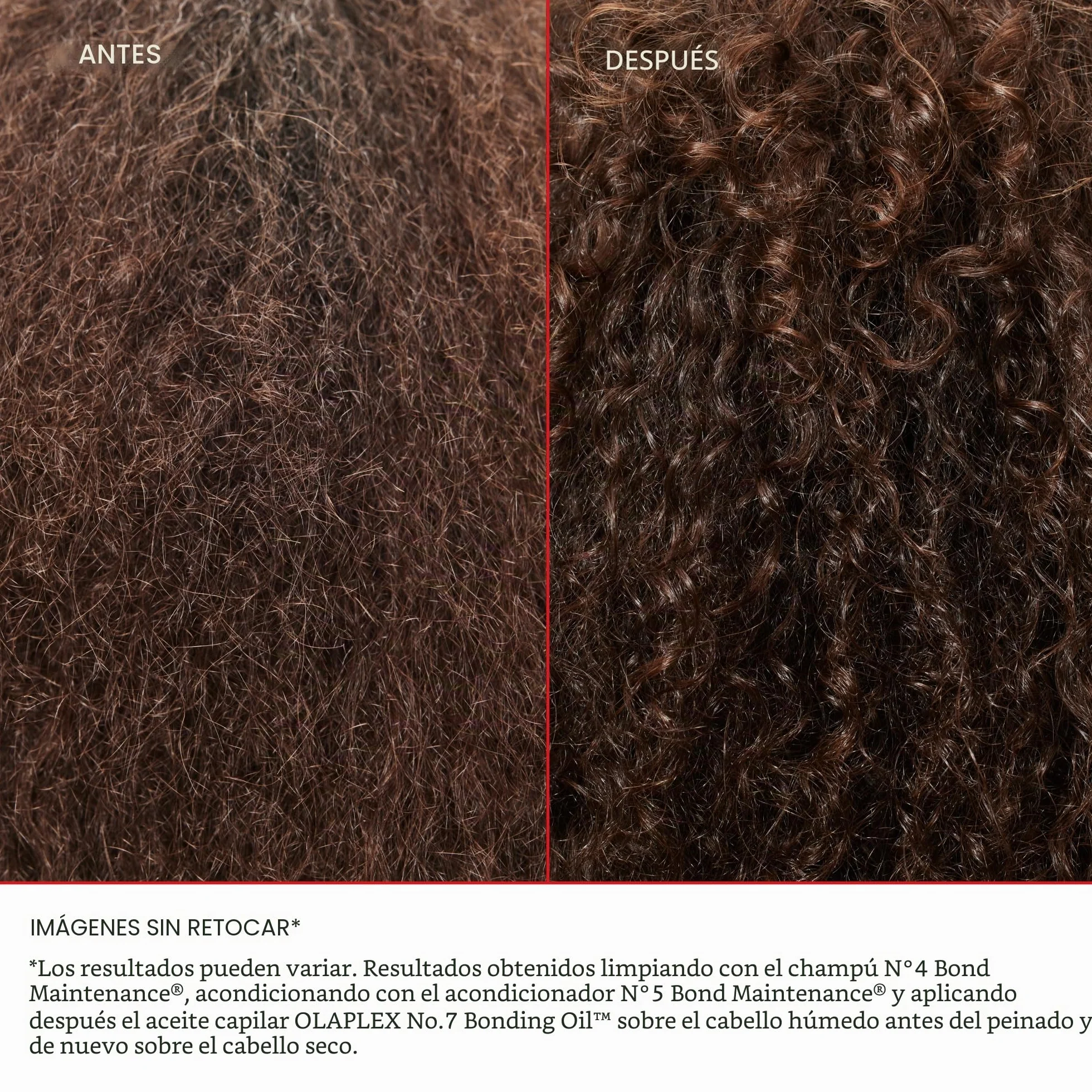 Healthy Hair Discovery Set