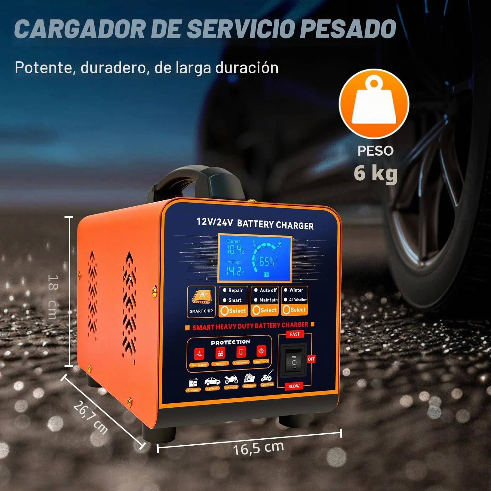 20A Cargador de Baterías Metal 12V/24V Profesional Mantenedor Automático, Cargador Inteligente con Apagado Automático, Reparación, Modo Invierno para Coche Camión Moto (Plomo, AGM, Gel, etc)