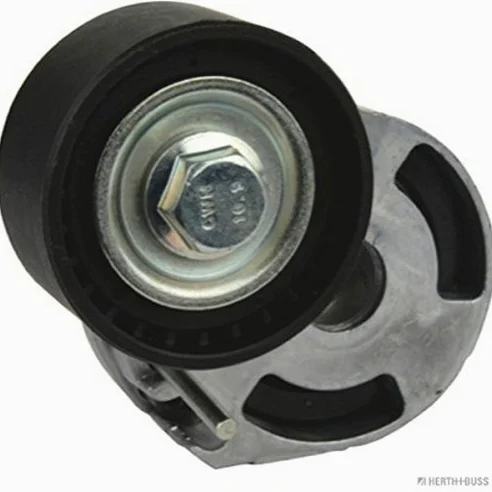 HERTH + BUSS Jako Parts j1143070 – Polea tensora, correa trapezoidal en V múltiple
