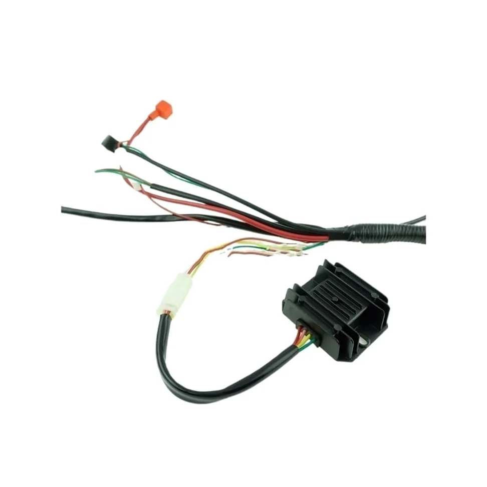 Arnés de cableado completo bobina encendido CDI para 150cc 200cc 250cc 300cc para Lifan para Zongshen para Buggy para arranque eléctrico cuádruple para motor
