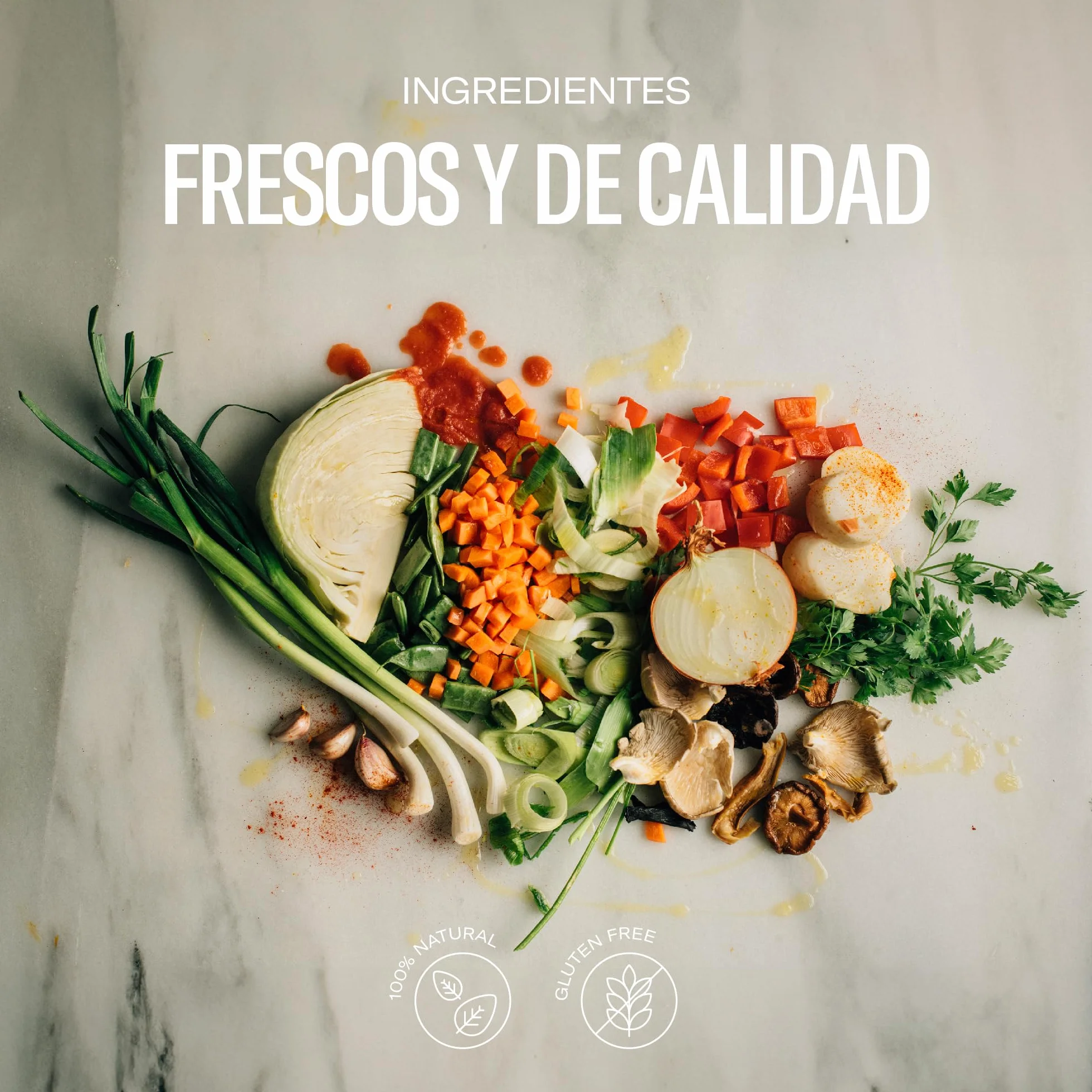 Caldo de Verduras Vegano 100% Natural Cocinado a Leña Pack 3 Litros