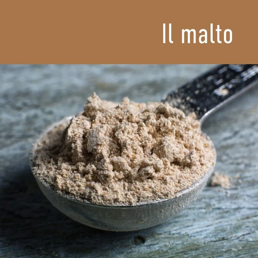 Malta diastásica en polvo para pan y pizza 500 g
