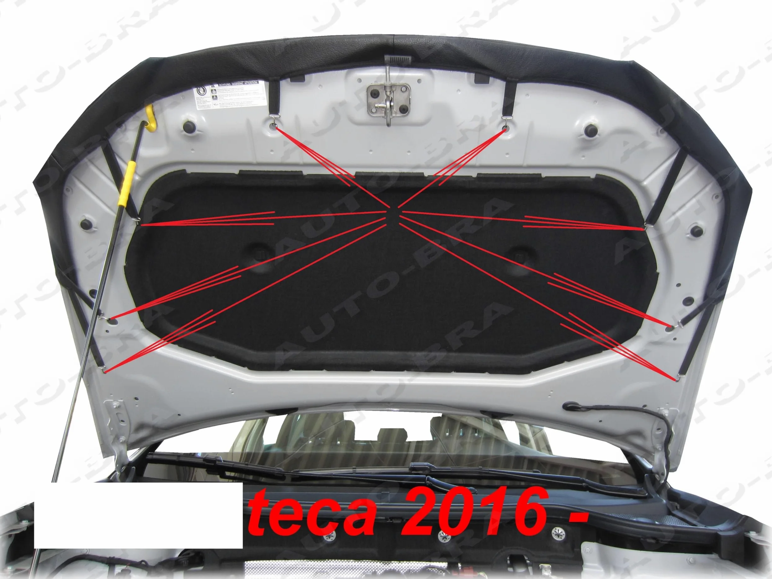 AB3-00010 NEGRO IMITACION CARBON PROTECTOR DEL CAPO compatible con Seat ATECA desde 2016