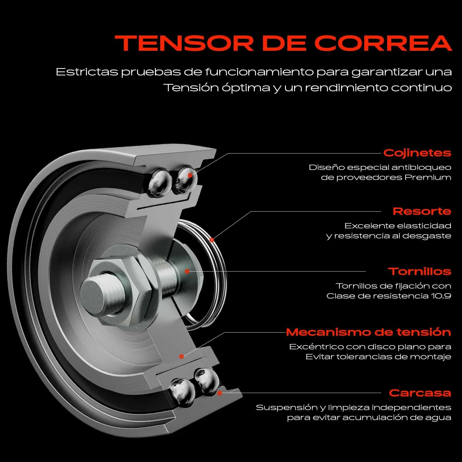Frankberg Kit de correa de distribución correa de distribución bomba de | Compatible con: Clase B W245, Clase A W169