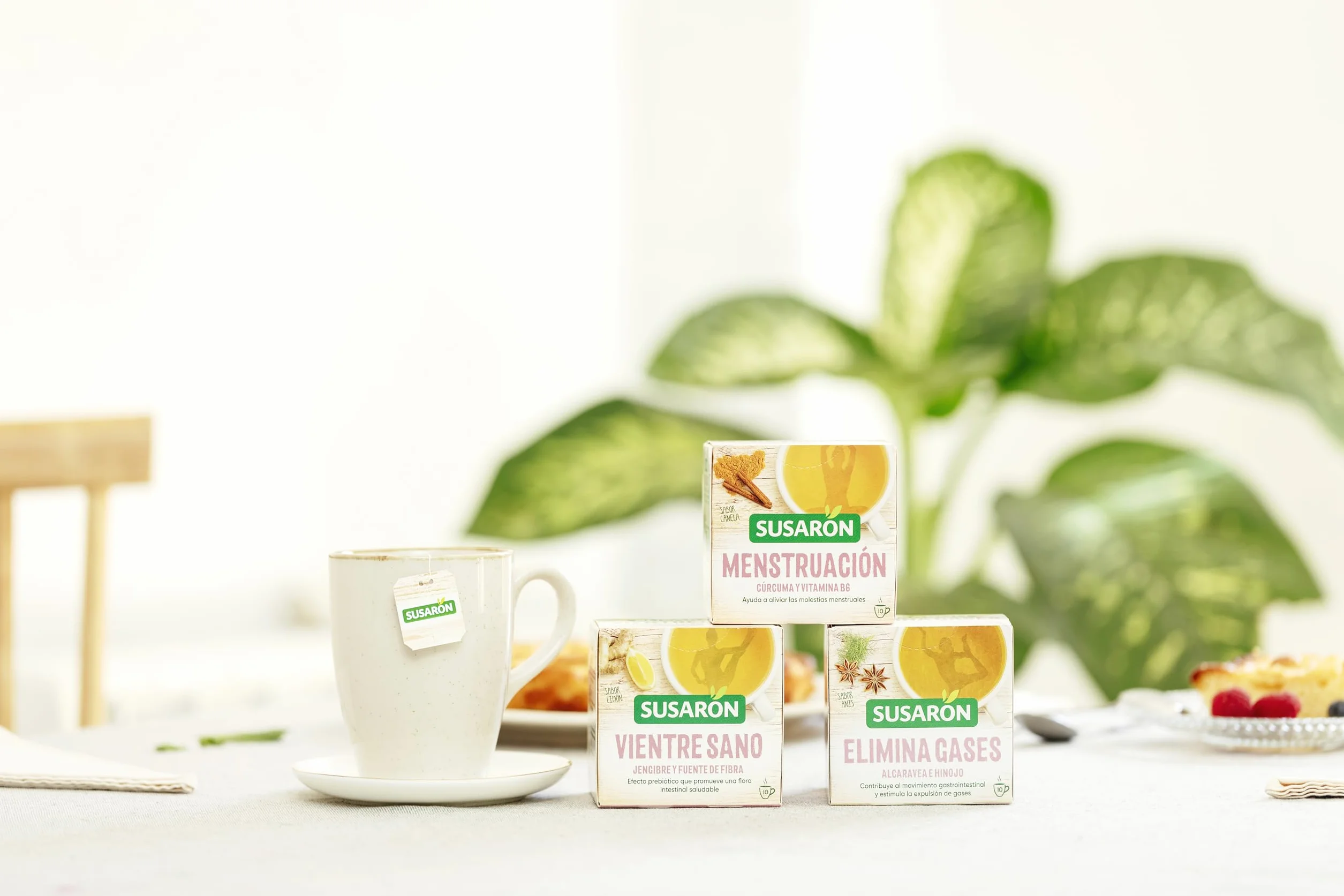Infusión Vientre Sano Sabor Jengibre Caja 10 bolsitas
