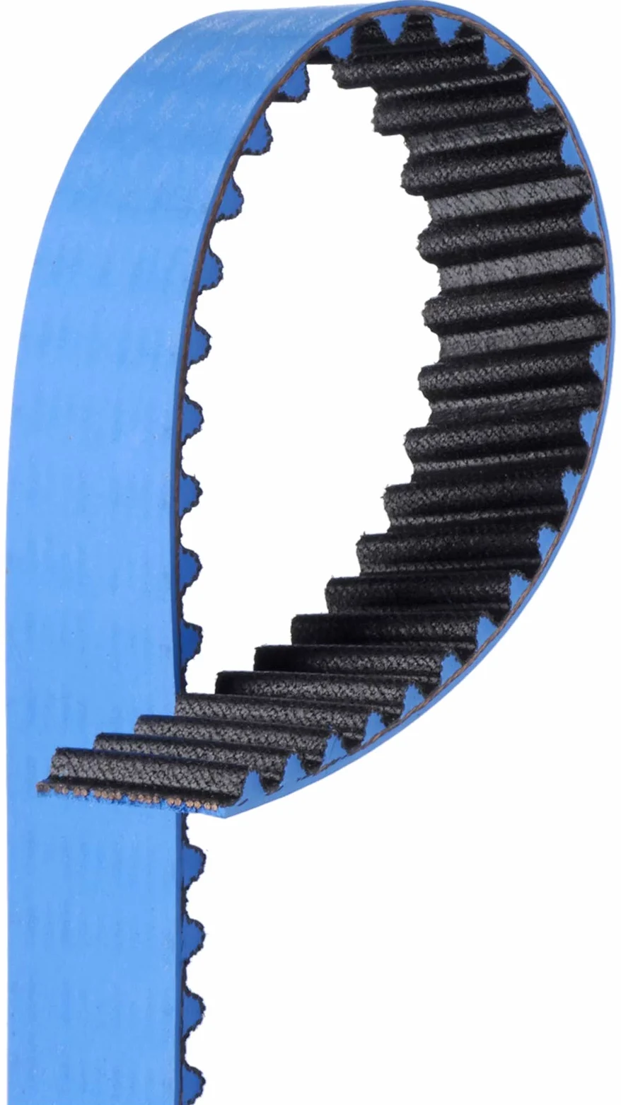 T297RB Gates - Correa dentada azul para carreras