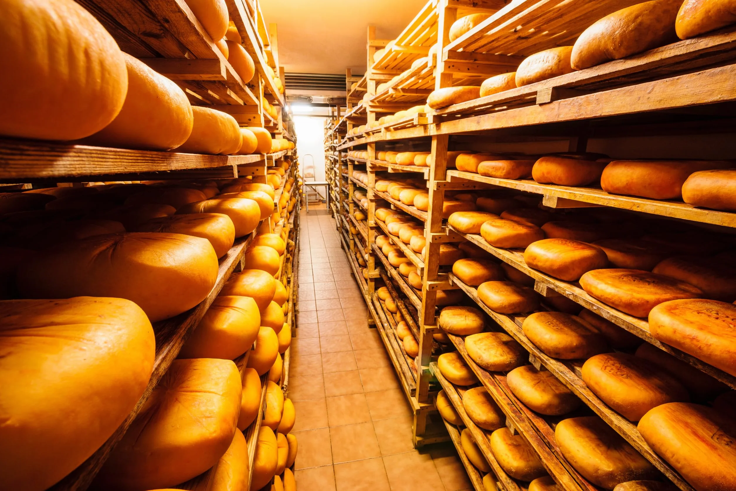 Queso Mahon Menorca DOP 1 kg España Sazonado Productos lácteos Artesanal Seleccionado por El Salumiere
