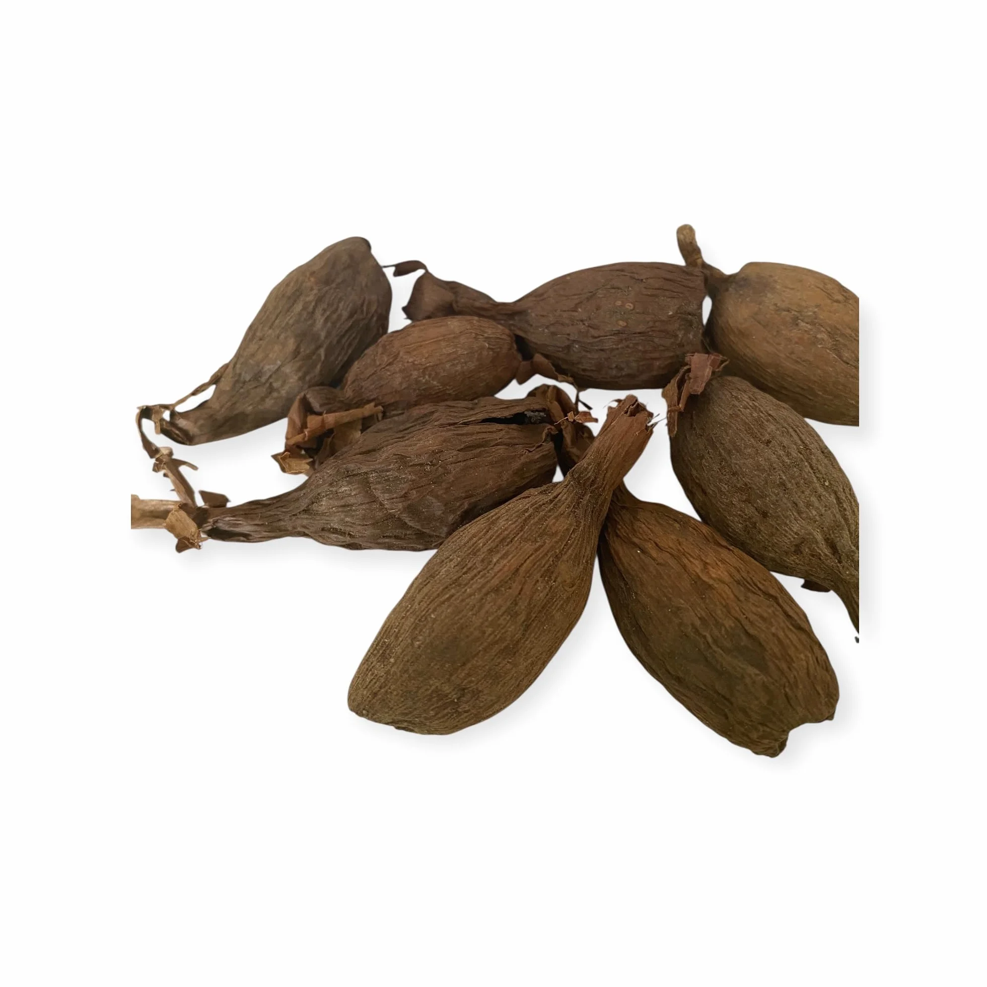 RMY Manigueta entera vaina de guinea de chile pimiento de cocodrilo 6 PCS
