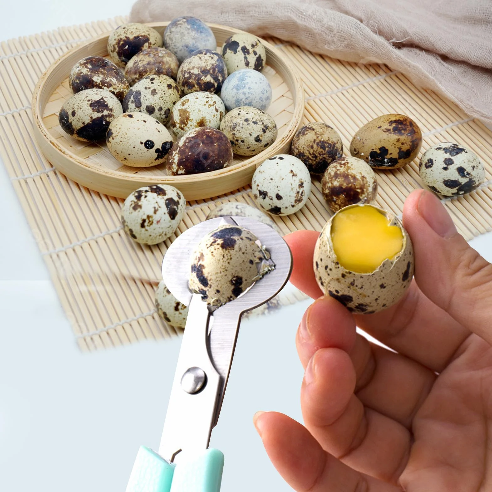 Tijeras Huevos de Codorniz de Acero Inoxidable, Cortador de Cáscara Huevo, Abridor de Huevos, Tijeras de Cocina, Negro, Verde