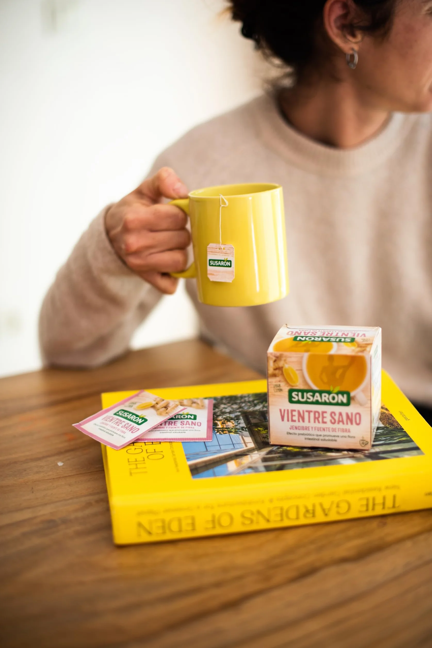 Infusión Vientre Sano Sabor Jengibre Caja 10 bolsitas