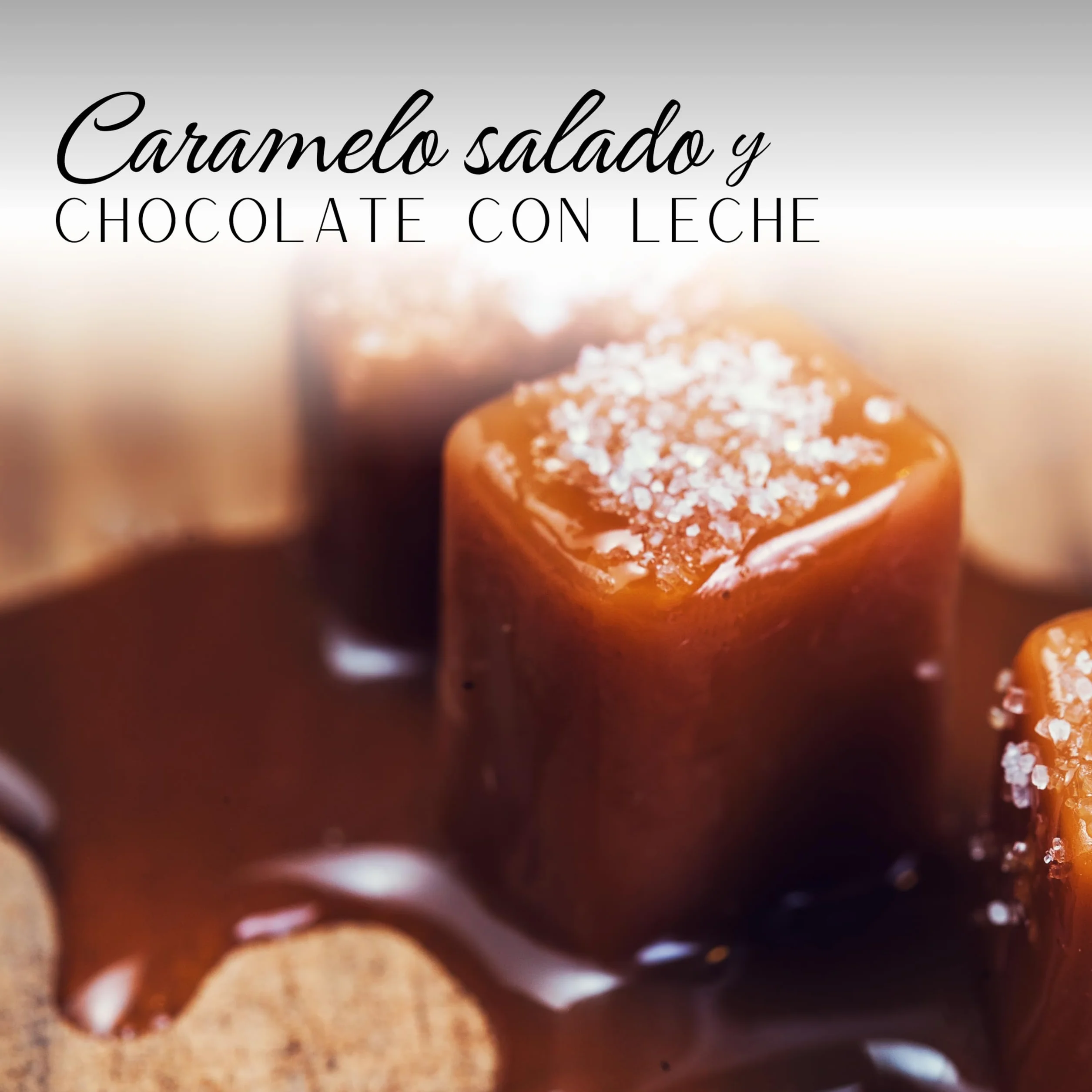 Degustación Turrones Chocolates de Autor 3 gustos Coco & Chocolate con leche Turrón de Frutos Rojos & Chocolate Negro Turrón de Caramelo a la Sal & Chocolate con Leche 3 x 100g Pack 300g