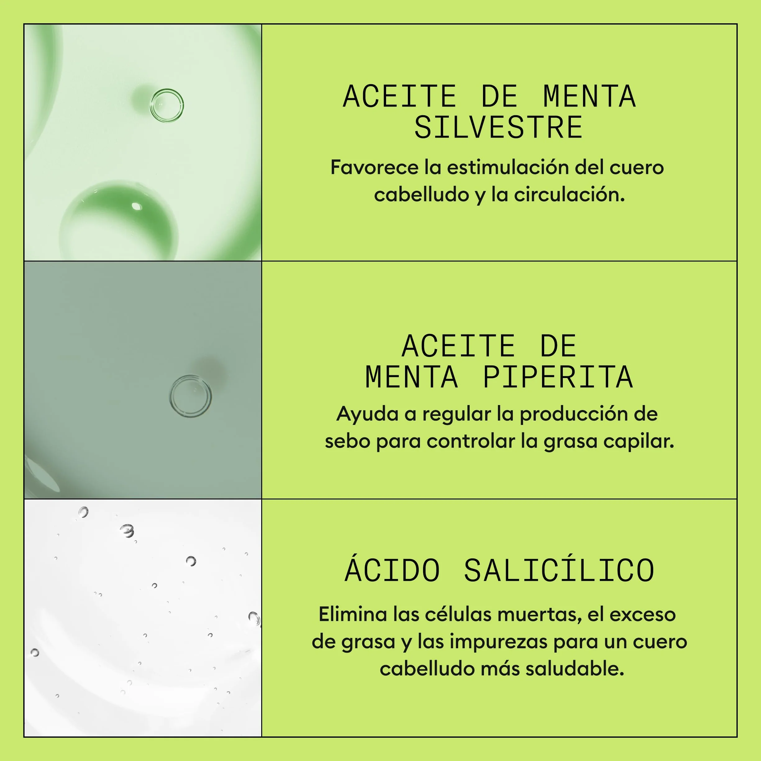 Nioxin Sistema 2 Champú Acondicionador Tratamiento Cabello Natural Debilitamiento Avanzado