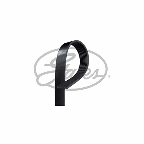 GATES 88444ES Correa trapecial poli V negro