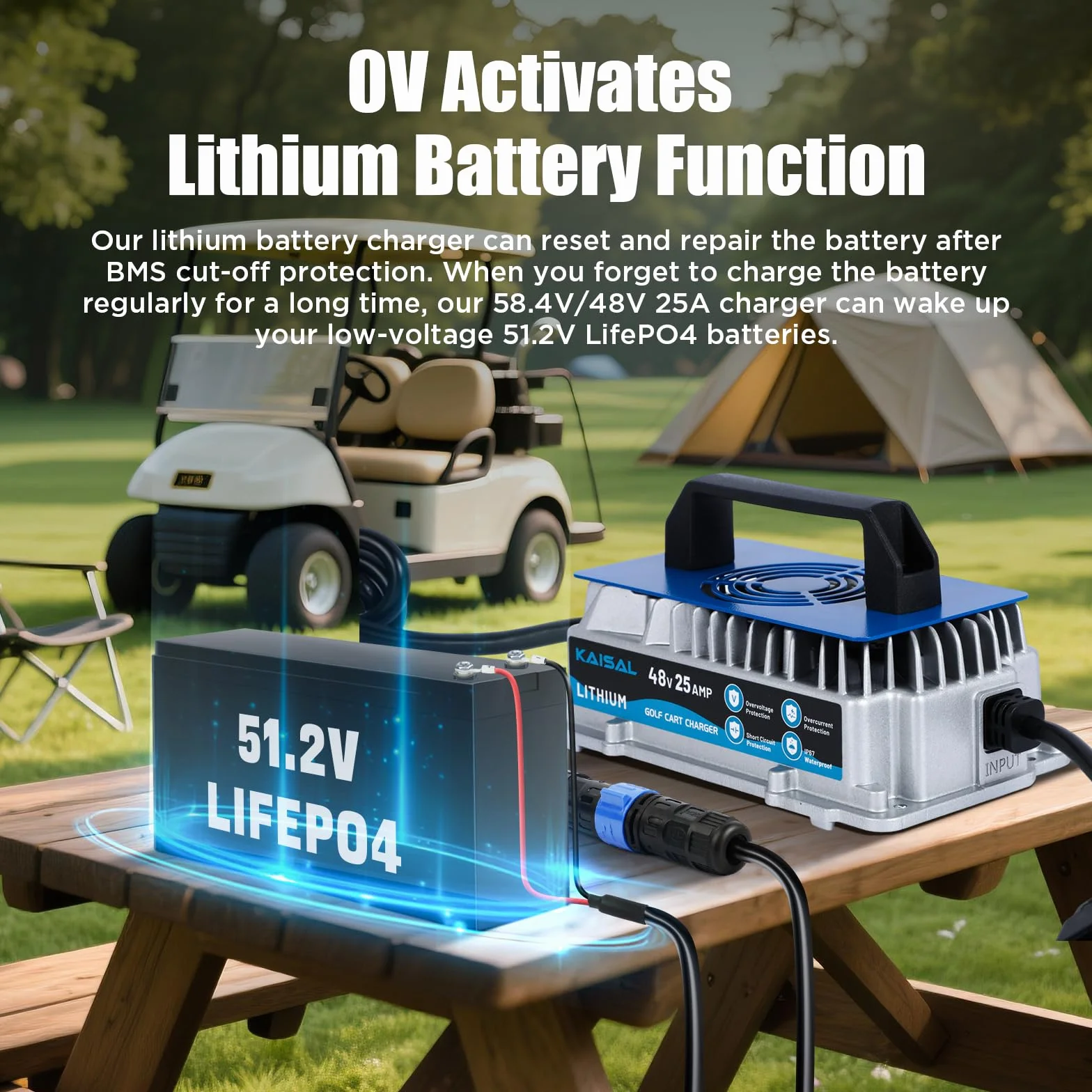 KAISAL 48V Cargador de baterías de Litio, Cargador LiFePO4 de batería 58.4V 25A, 1250 W, con Ventilador de refrigeración, para Carritos de Golf, Barcos, Autocaravanas y Solares. Impermeable IP67