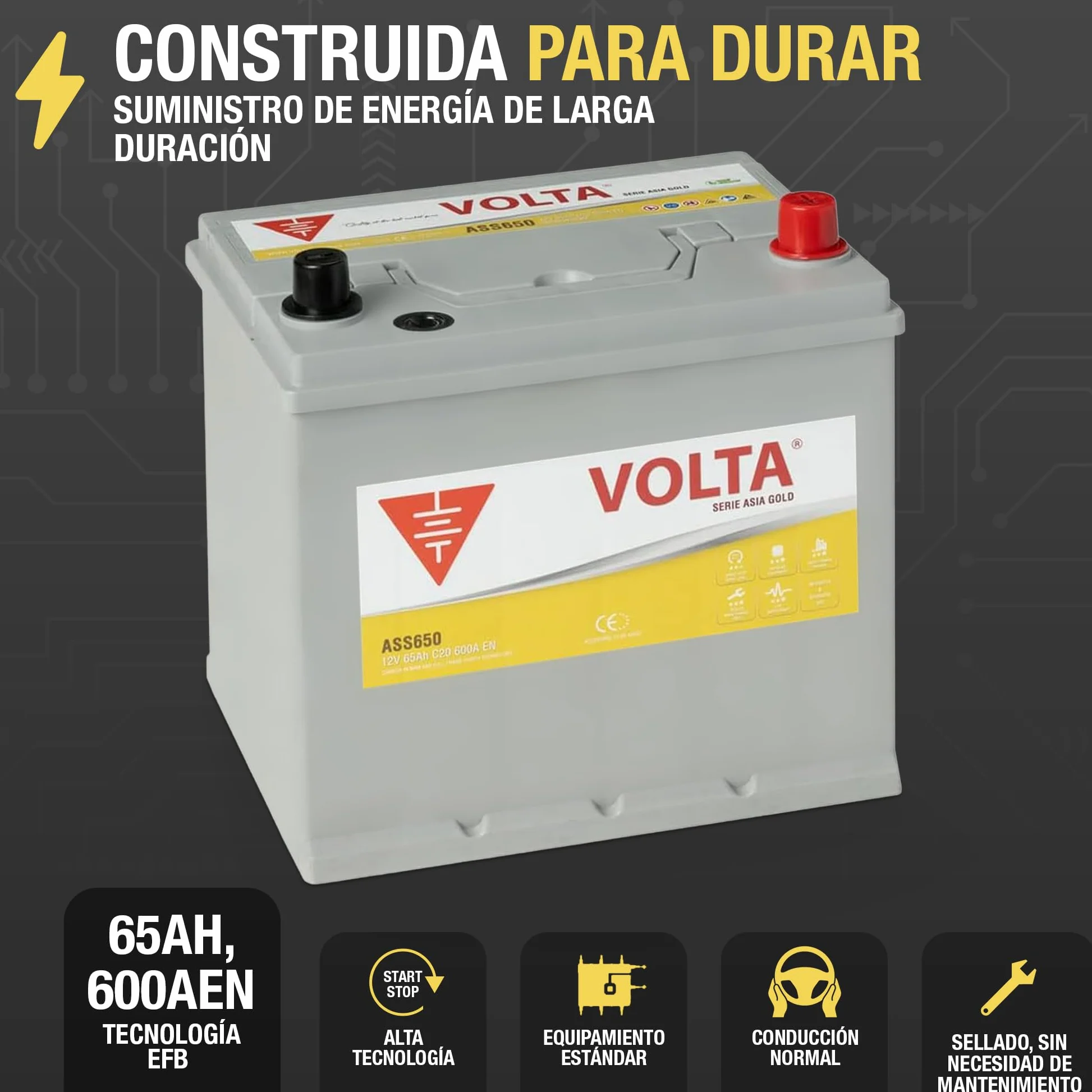 Batería de Coche Start-Stop EFB 65Ah 600 AEN - Volta Gold Asia ASS650D - Sistema Start-Stop - Borne +Derecha - Medidas Largo 230 x Ancho 173 x Alto 225 mm con 2 Años Garantía - Fabricación Europea
