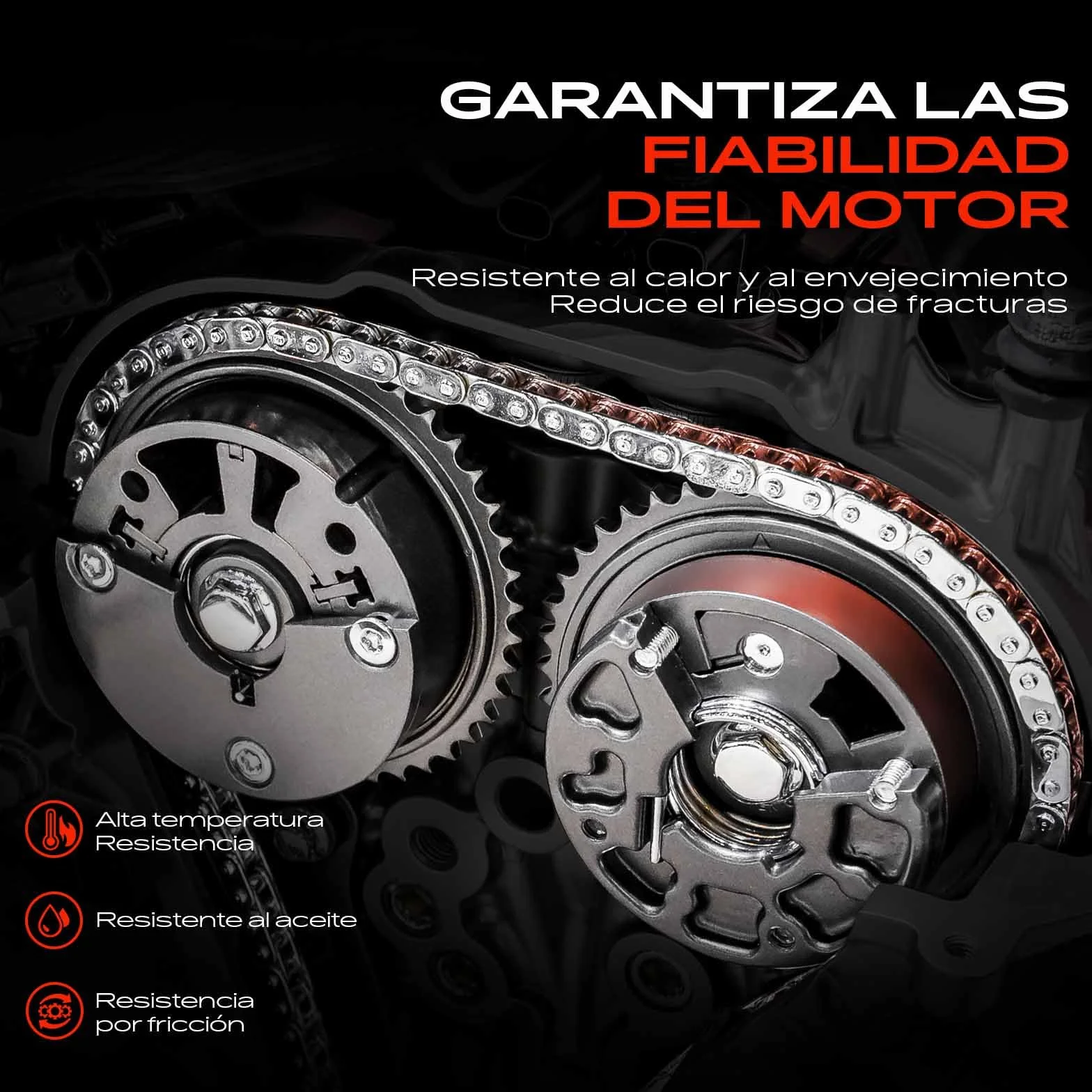 Frankberg Kit de Cadena distribución Diesel Compatible con Ducato Furgoneta 250 2.2L Mondeo III Turnier BWY 2.0L Transit Bus FB FC FD FS FZ 2.2L Boxer Bus 2.2L Jumpara Bus 2.2L Replace# TC2303K