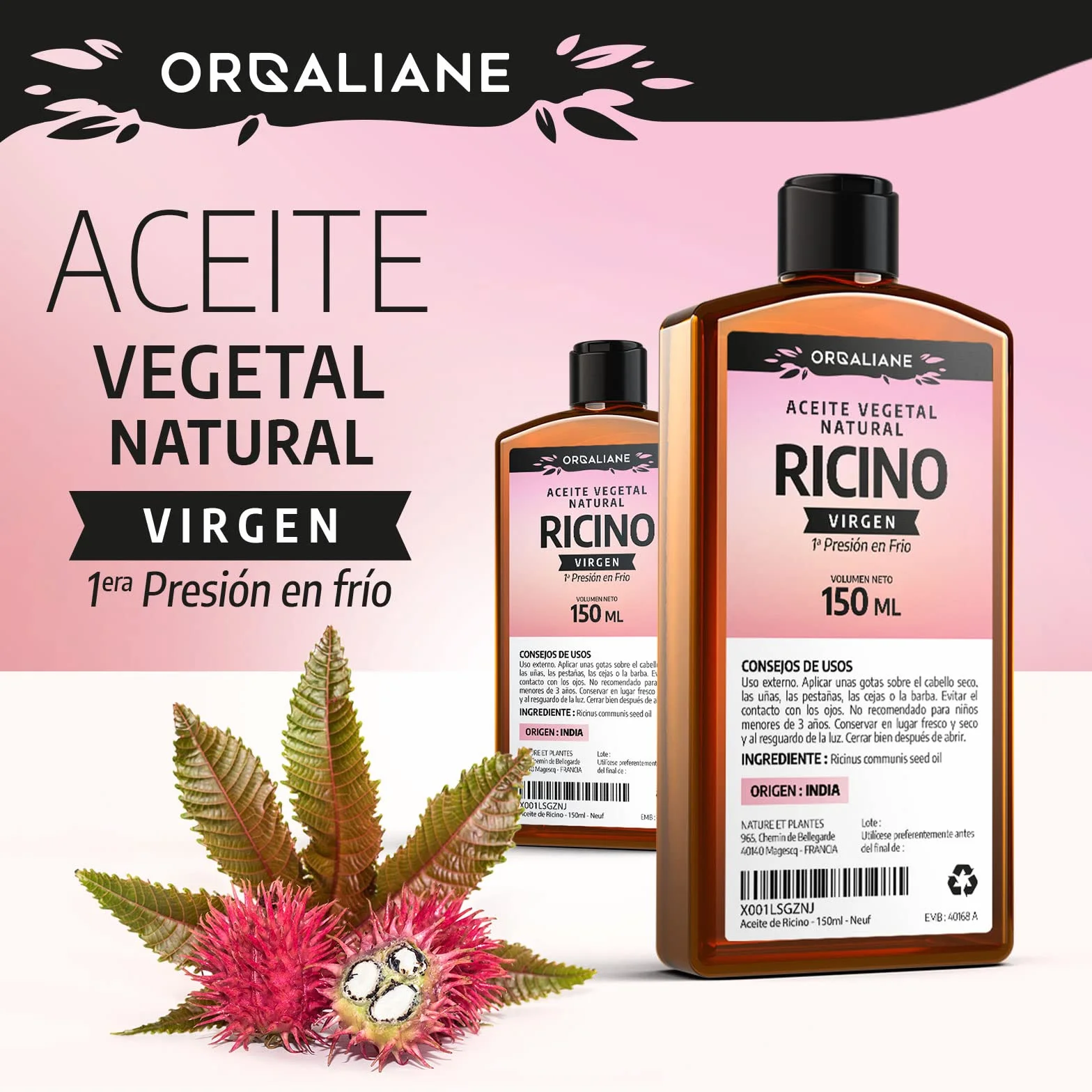 Aceite de Ricino 150 ml 100% Virgen Prensado en Frío Ricinus Communis para Cabello, Pestañas y Uñas