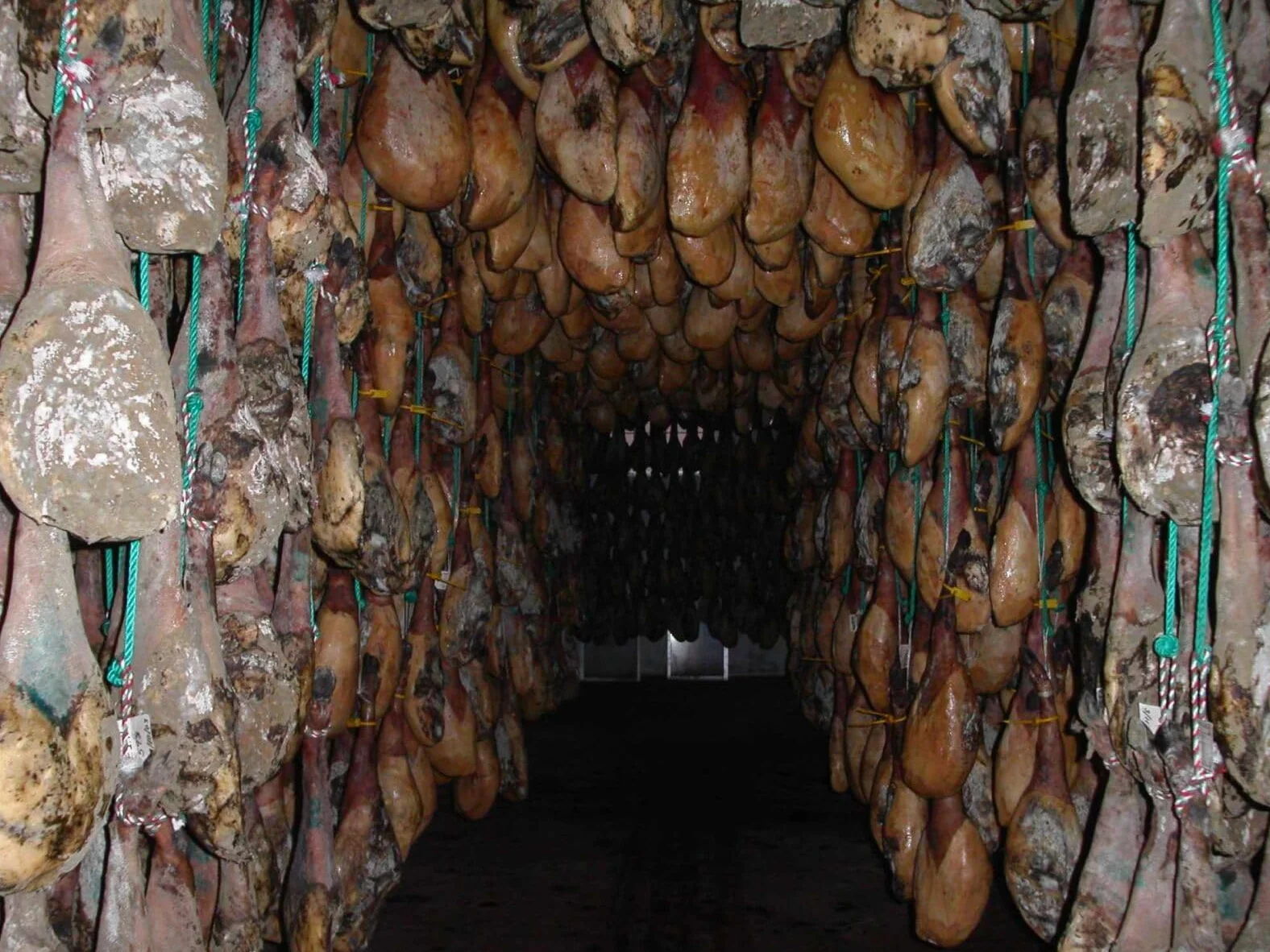 Paleta de Jabugo 100% Bellota 4-4,5 kg Sanchez Martín Selección Cosecha Privada Vitola Negra Ibérica Huelva