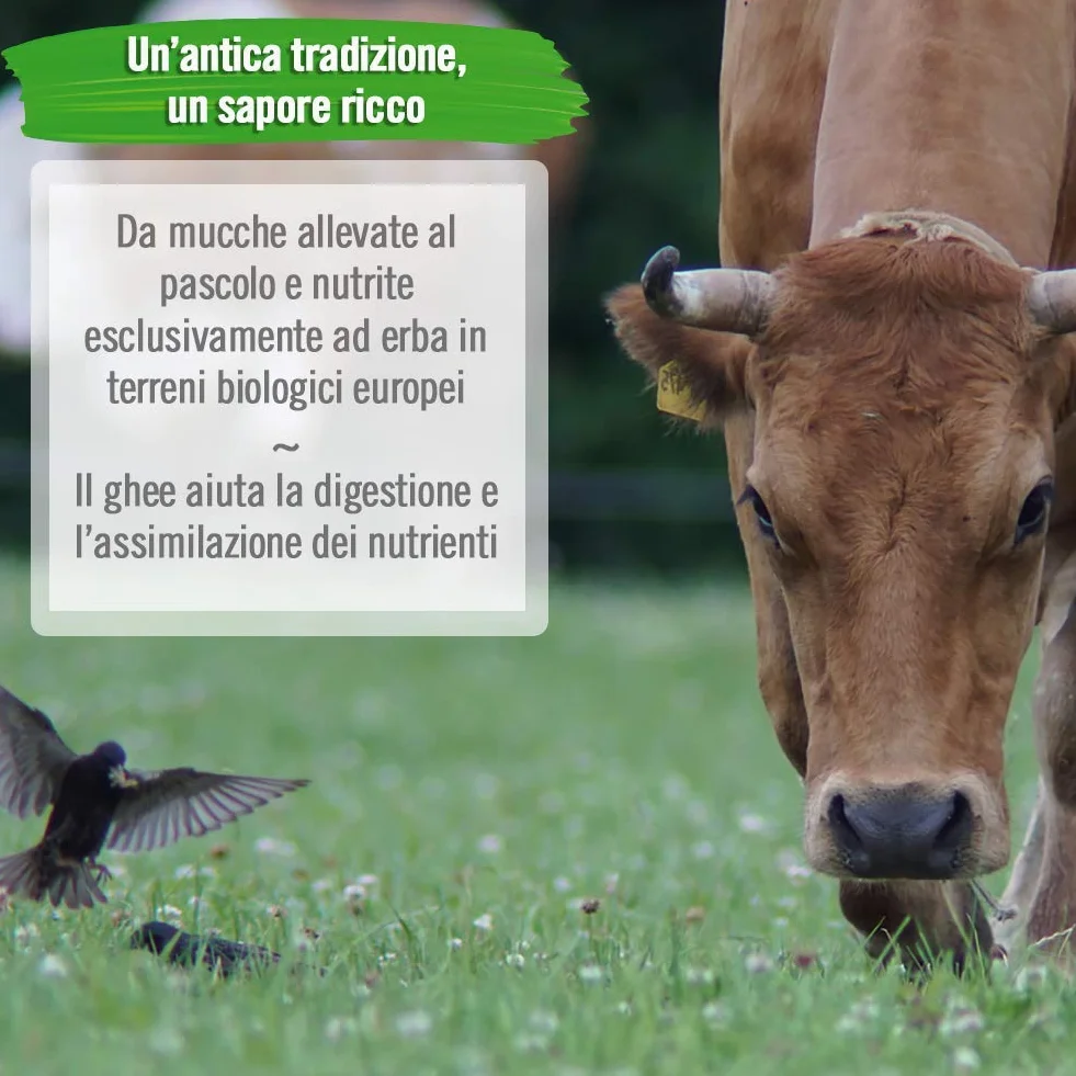 Exponatura Ghee orgánico Mantequilla clarificada 500 g