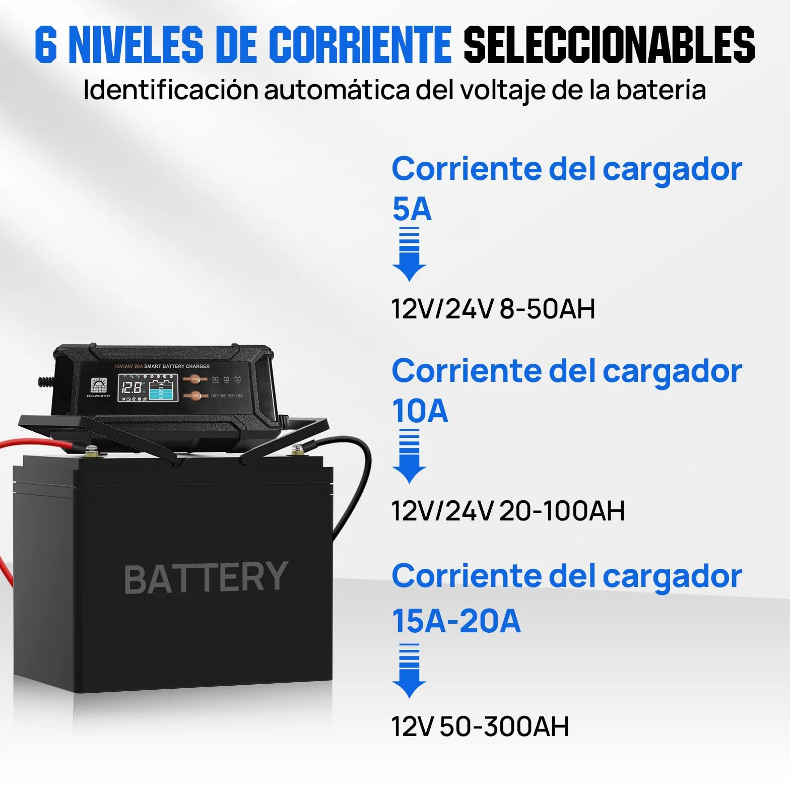 ECO-WORTHY 12 V/24 V 20 A Cargador de batería LiFePO4 con opciones multicanal 5 A/10 A/15 A/20 A, detección automática de voltaje de la batería Ploácido LiFePO4