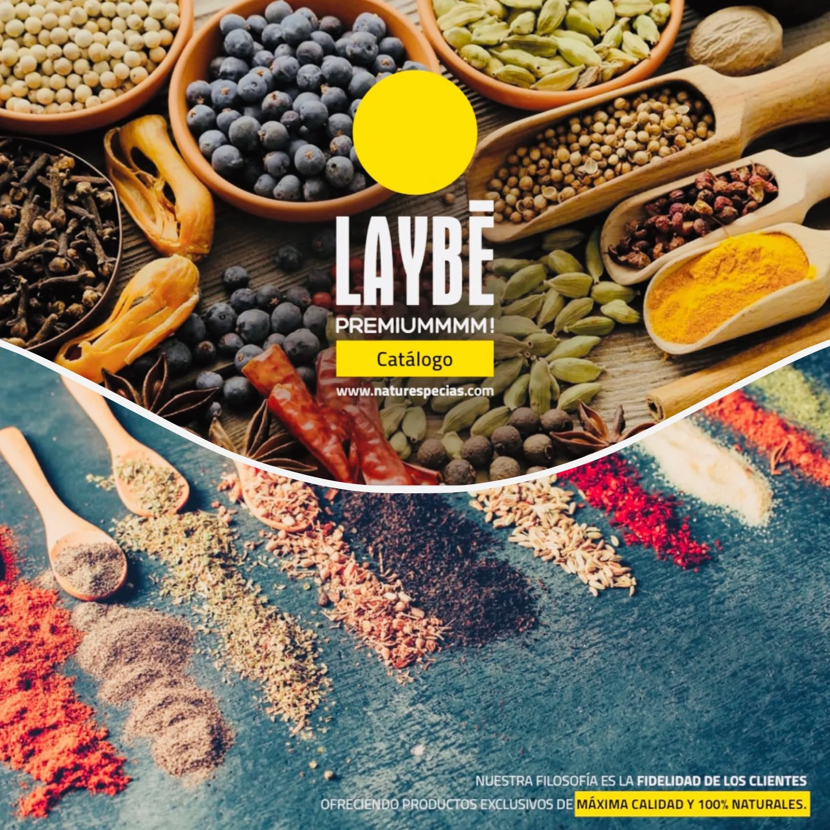 LAYBÉ Cebolla en Escamas 100% Natural 170g Bote Hostelería