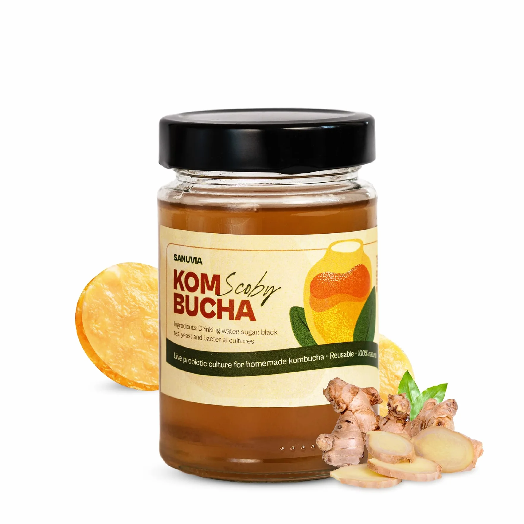 SANUVIA Kombucha SCOBY Starter Culture – Hongo de té con 300 ml de té iniciador en frasco de vidrio – Vegano, cultivo vivo, reutilizable