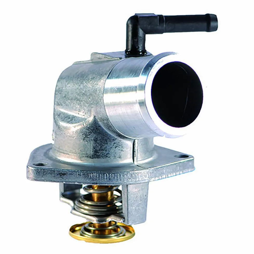 FAE 5321692 Termostato, Refrigerante